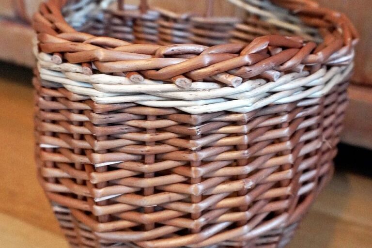 Beerenkorb gesotten 2