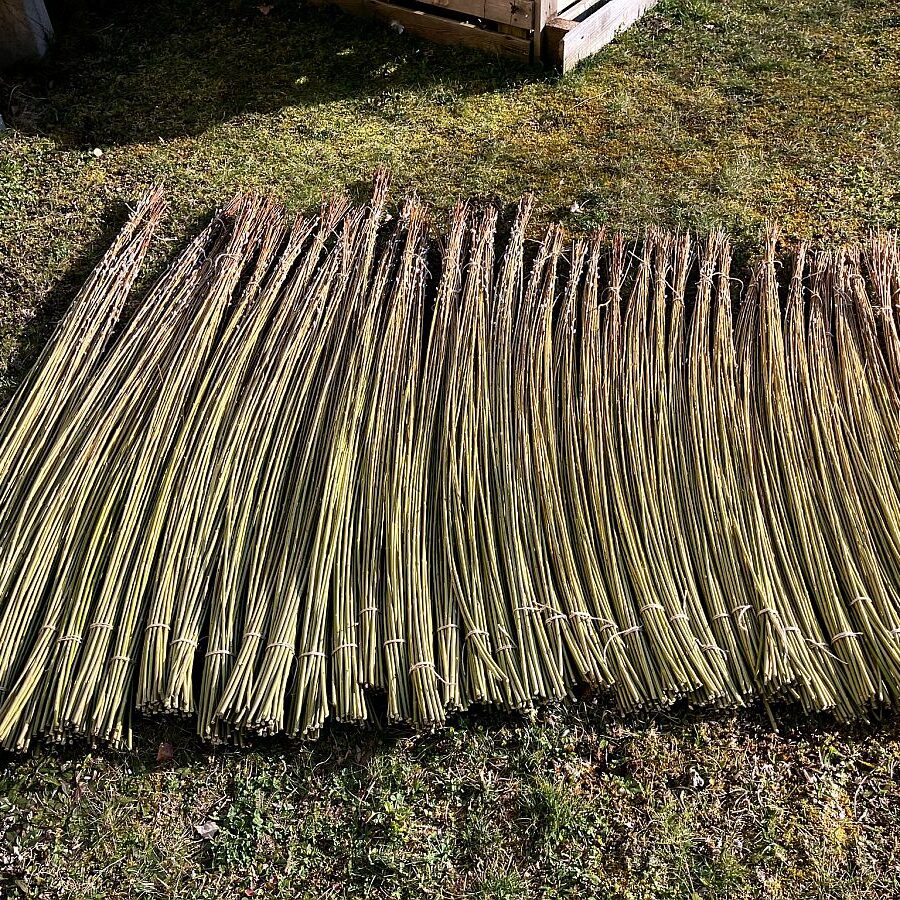 2025 Weidenernte Tennenbronn 01