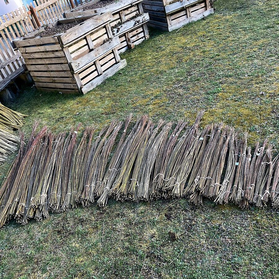 2025 Weidenernte Tennenbronn 02