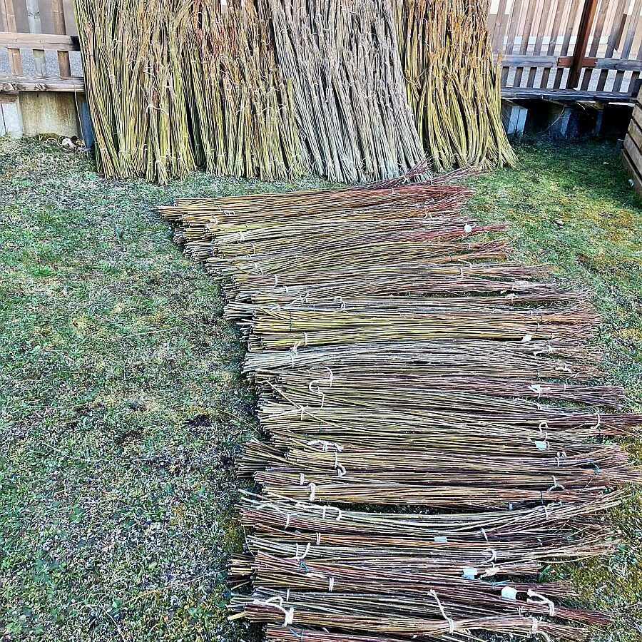 2025 Weidenernte Tennenbronn 03