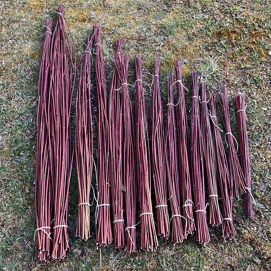 2025 Weidenernte Tennenbronn 04