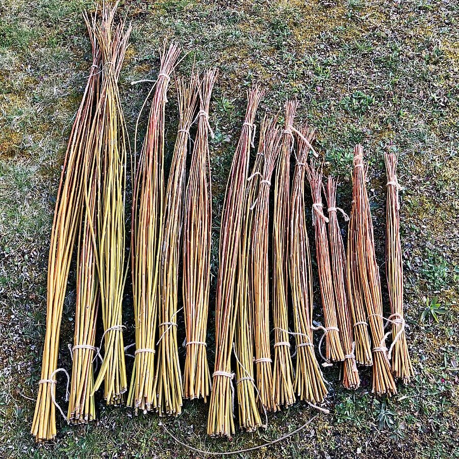 2025 Weidenernte Tennenbronn 05