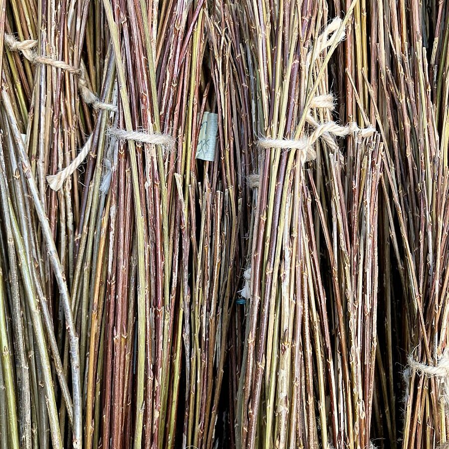 2025 Weidenernte Tennenbronn 07