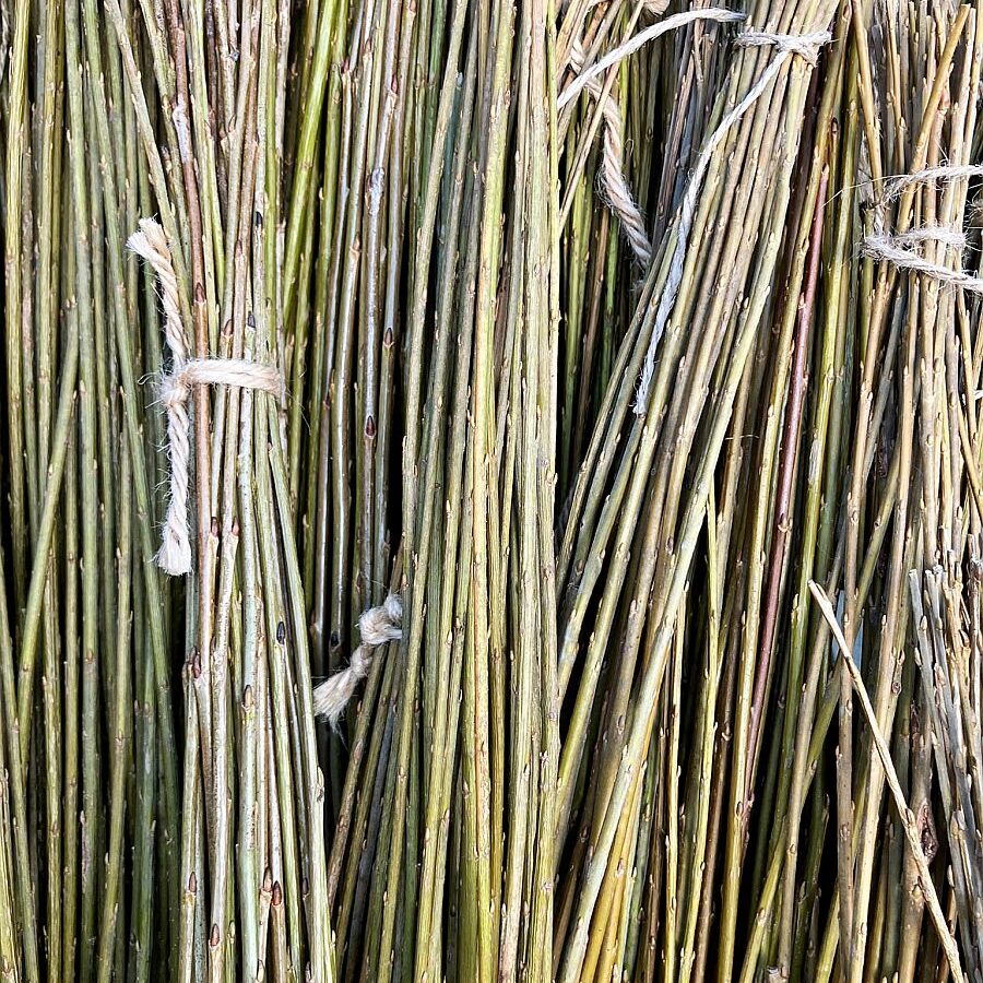 2025 Weidenernte Tennenbronn 08