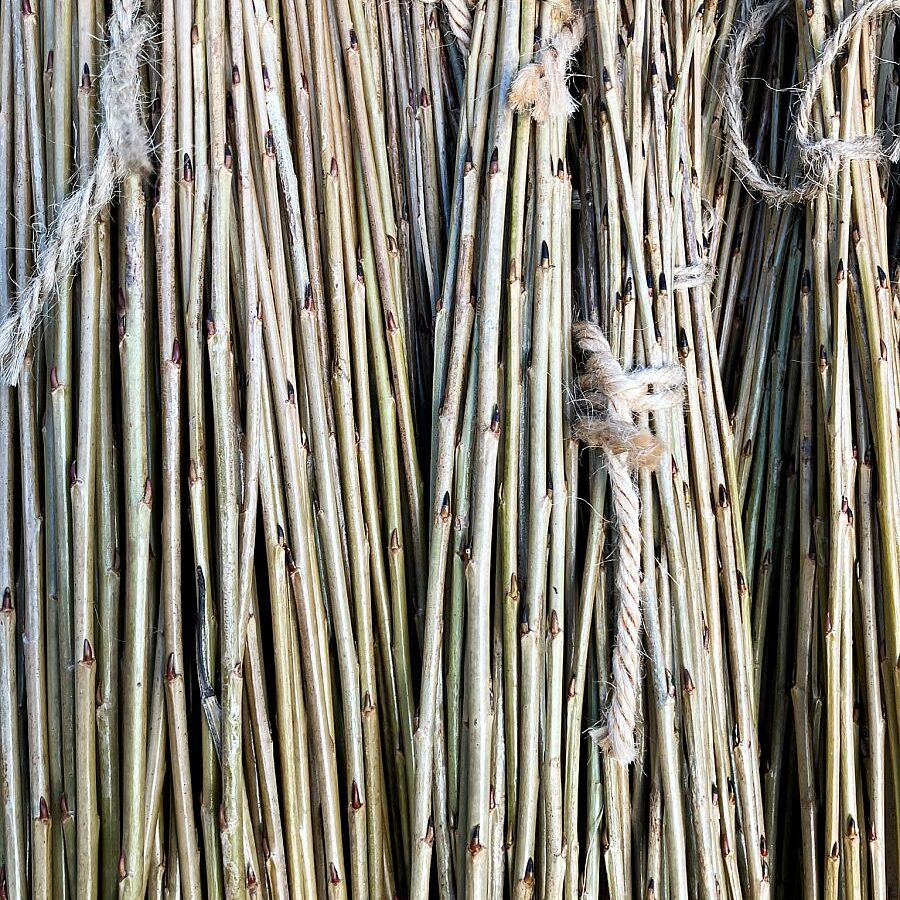 2025 Weidenernte Tennenbronn 10