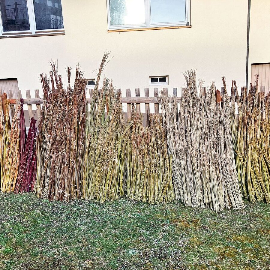 2025 Weidenernte Tennenbronn 12