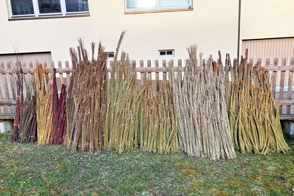 2025 Weidenernte Tennenbronn 12