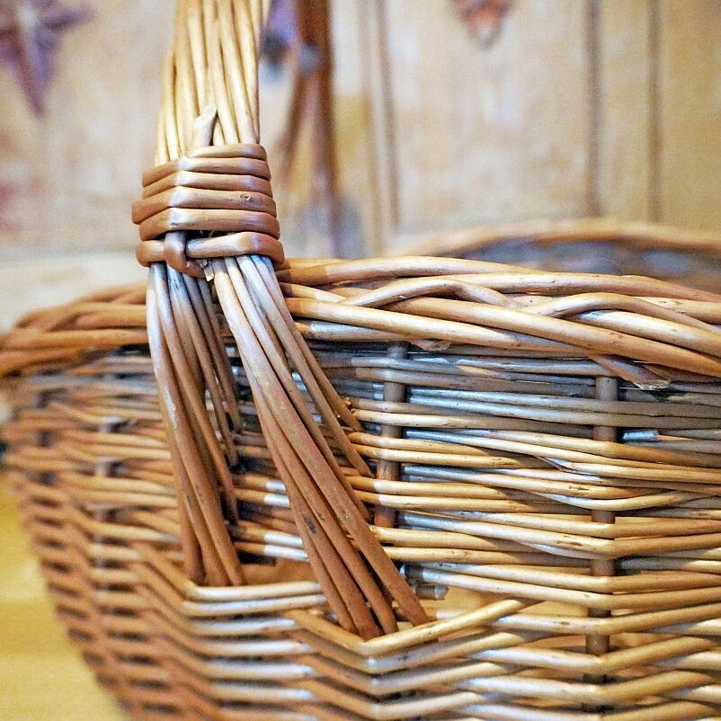 Reparatur Gemüsekorb Kipp 1