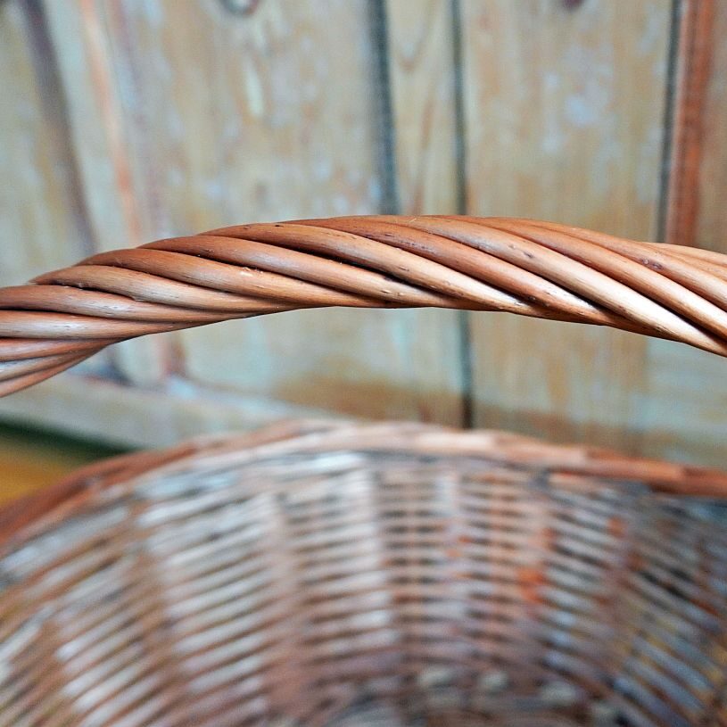 Reparatur Gemüsekorb Kipp 5