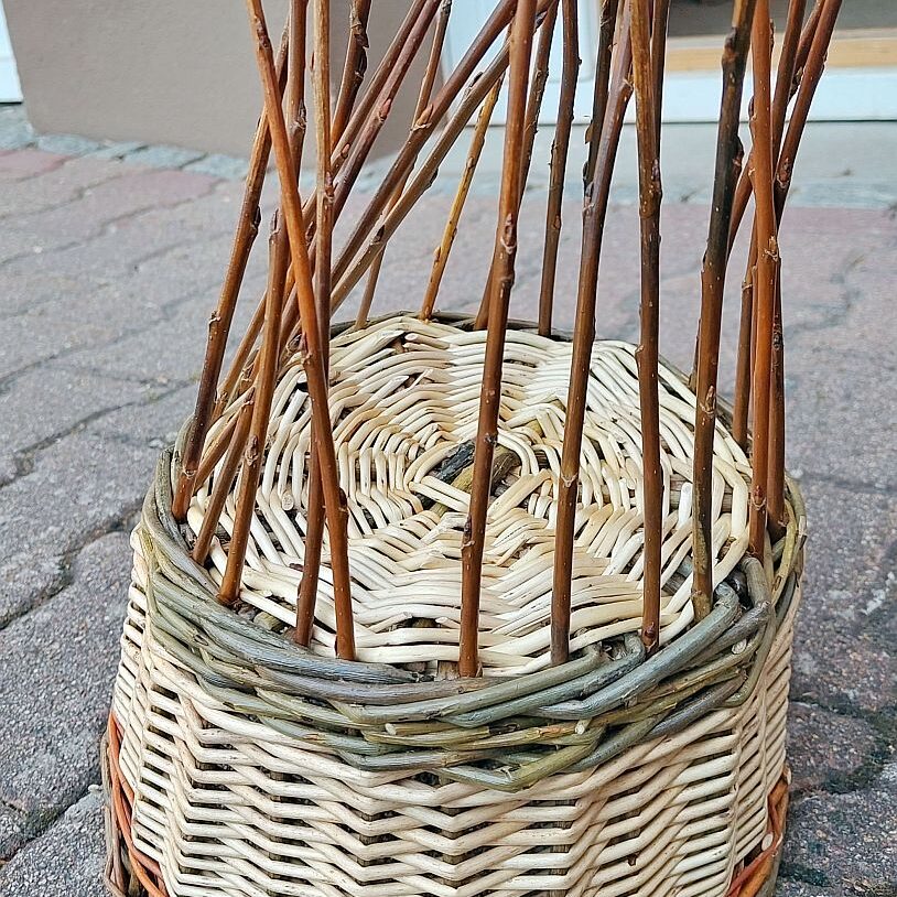 Korbfuss 4